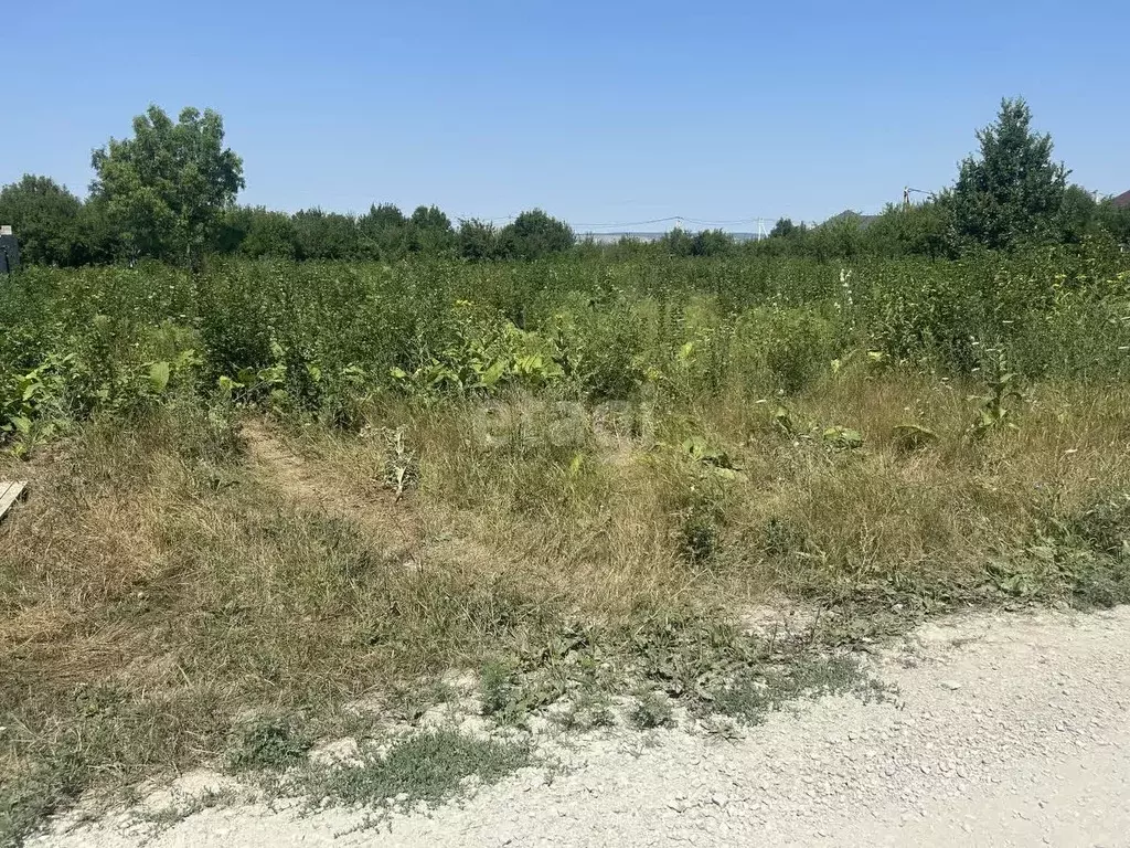 Участок в Краснодарский край, Новороссийск городской округ, ... - Фото 0