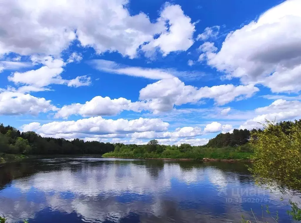 Участок в Новгородская область, Крестецкий муниципальный округ, с. ... - Фото 2