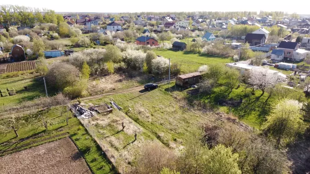 Участок в Владимирская область, Суздальский район, Новоалександровское ... - Фото 1