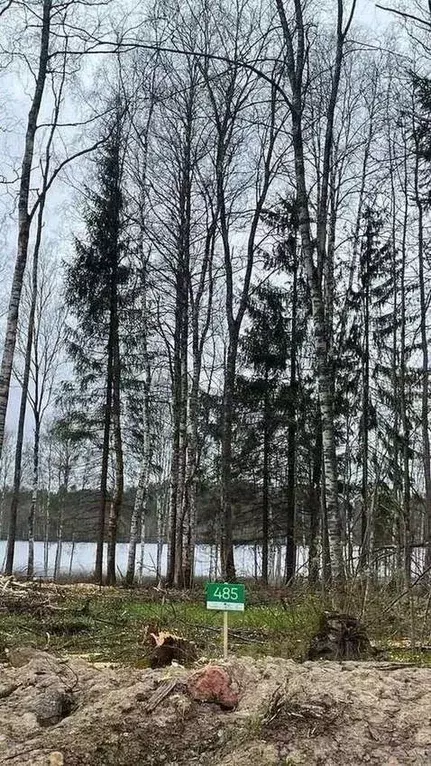 Участок в Ленинградская область, Всеволожский район, Токсовское ... - Фото 2