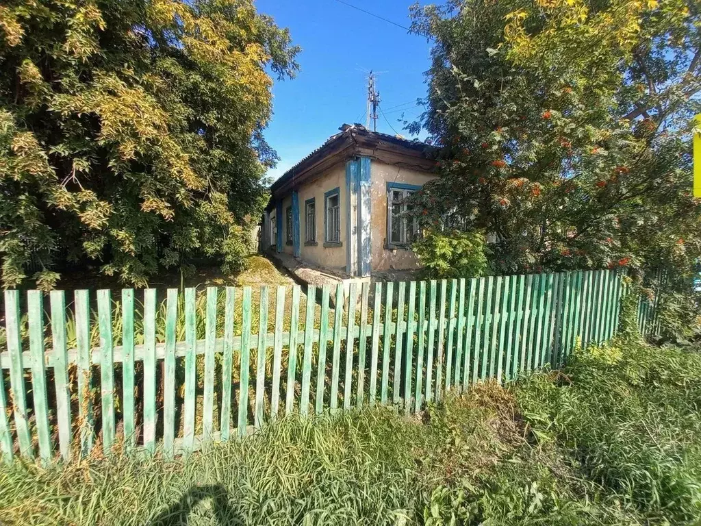 Дом в Челябинская область, Сосновский район, с. Долгодеревенское ... - Фото 1