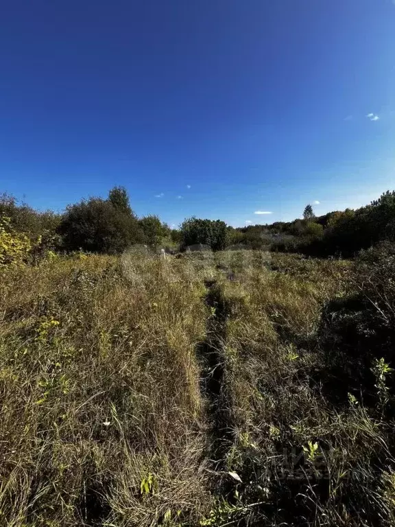 Участок в Тюменская область, Тюмень Светлячок садовое товарищество, ... - Фото 2