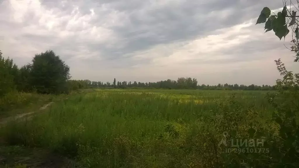 Участок в Воронежская область, Воронеж ул. Совхозная, 21 (10.0 сот.) - Фото 0
