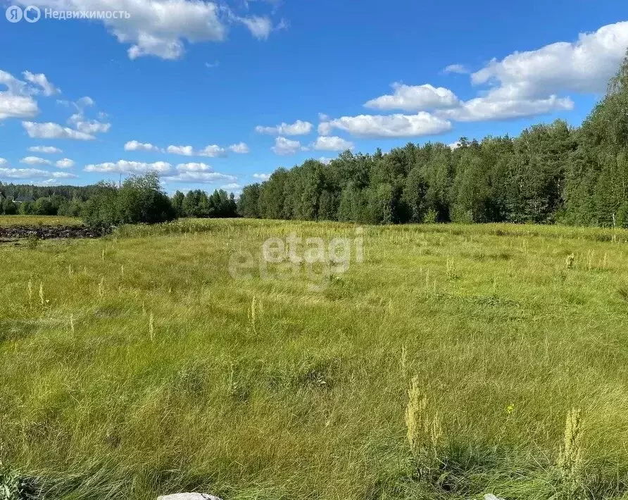 Участок в Чебаркульский район, Травниковское сельское поселение, ... - Фото 1