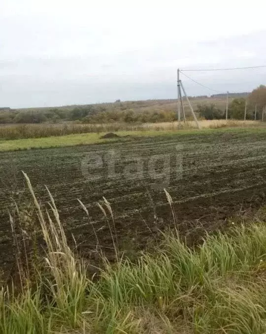Участок в Заокский район, сельское поселение Демидовское, село ... - Фото 1