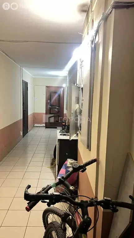 1-комнатная квартира: Барнаул, Колёсная улица, 12 (28.1 м) - Фото 0