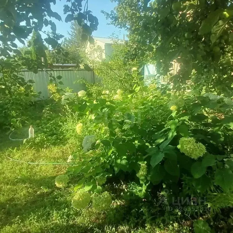 Дом в Саратовская область, Энгельсский район, Терновское муниципальное ... - Фото 2