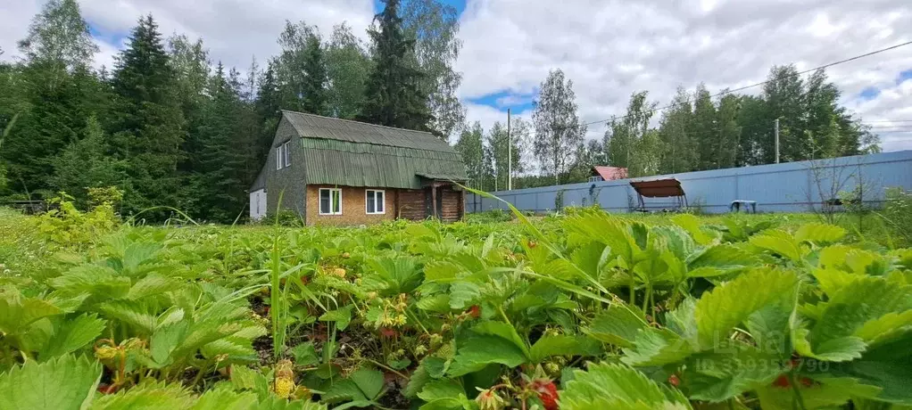 Дом в Ленинградская область, Выборг ул. Имени А.М. Скоробогатова, 3 ... - Фото 1