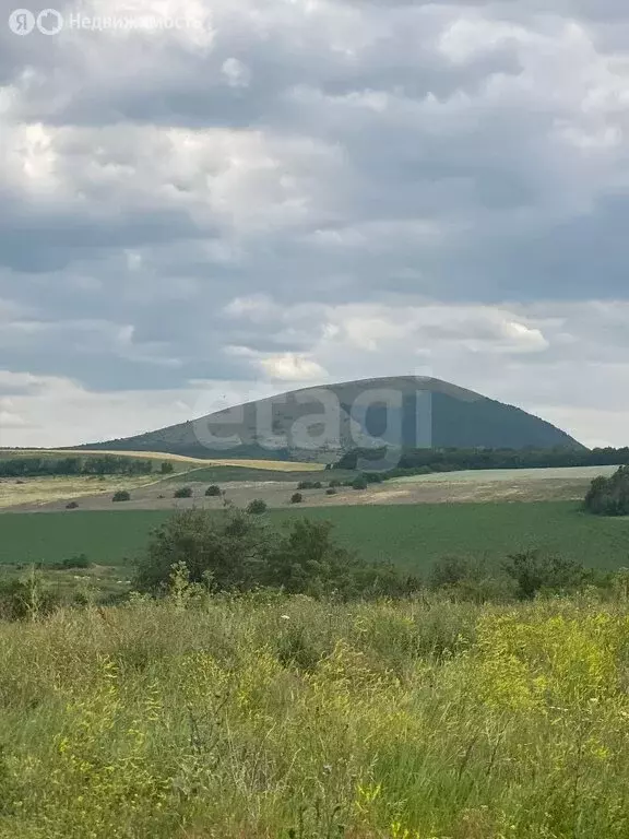 Участок в Ставропольский край, Предгорный муниципальный округ, хутор ... - Фото 1