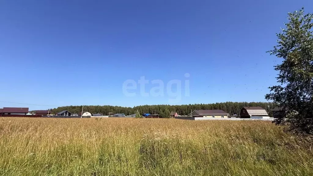 Участок в Владимирская область, Петушинский муниципальный округ, ... - Фото 1