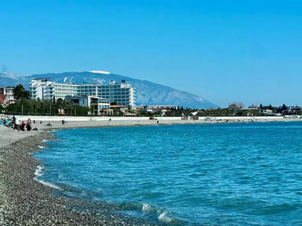 1-к кв. Краснодарский край, Сириус пгт ул. Попова, 23 (40.0 м) - Фото 0