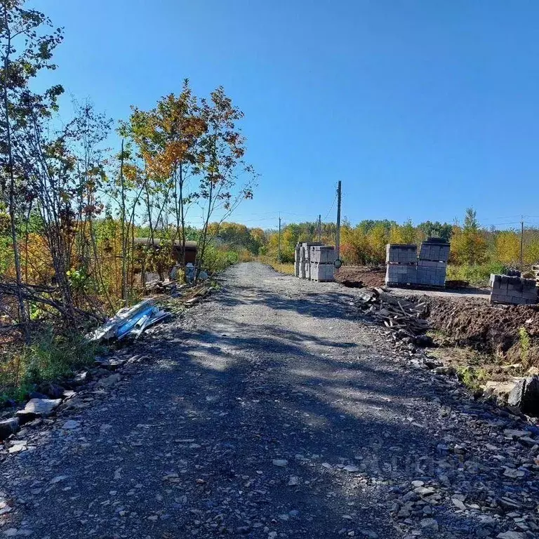 Участок в Хабаровский край, Хабаровский район, Тополевское с/пос, с. ... - Фото 2