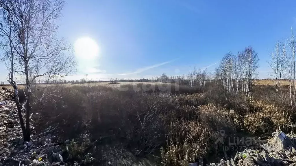 Участок в Тюменская область, Тюмень  (50.01 сот.) - Фото 1