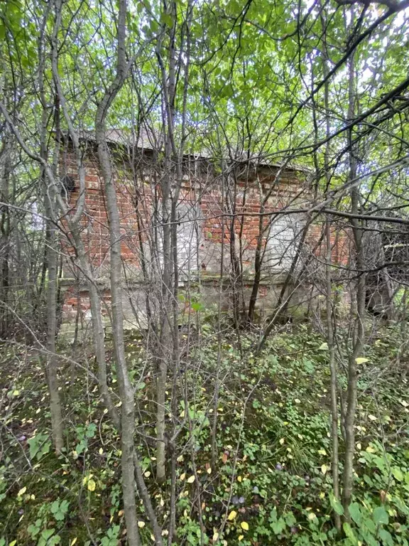 Дом в Рязанская область, Шиловский район, Инякинское с/пос, с. Ирицы  ... - Фото 1