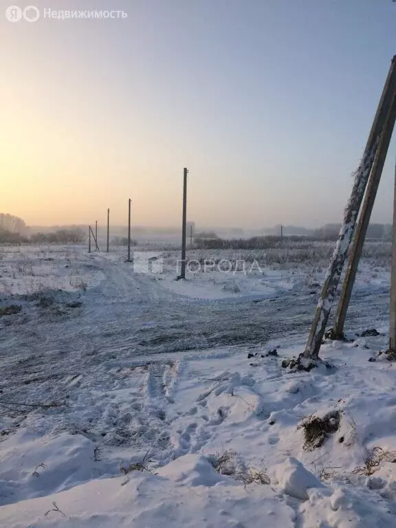 Участок в Мошковский район, село Томилово (10 м) - Фото 2