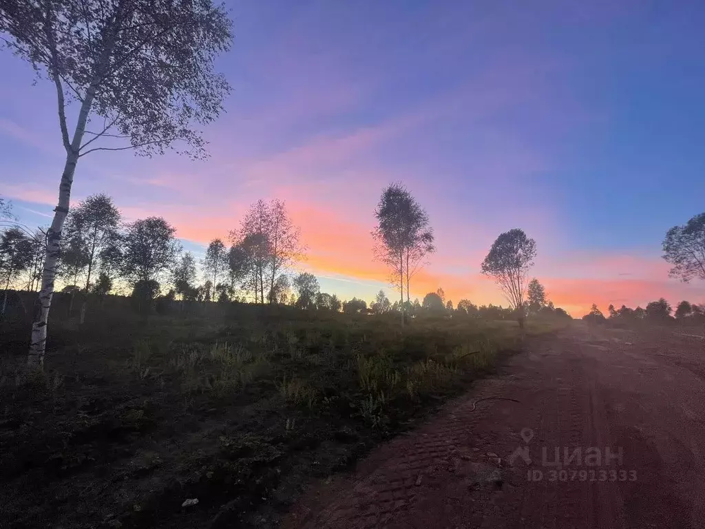 Участок в Московская область, Клин городской округ, Емеля дп  (1.0 ... - Фото 0