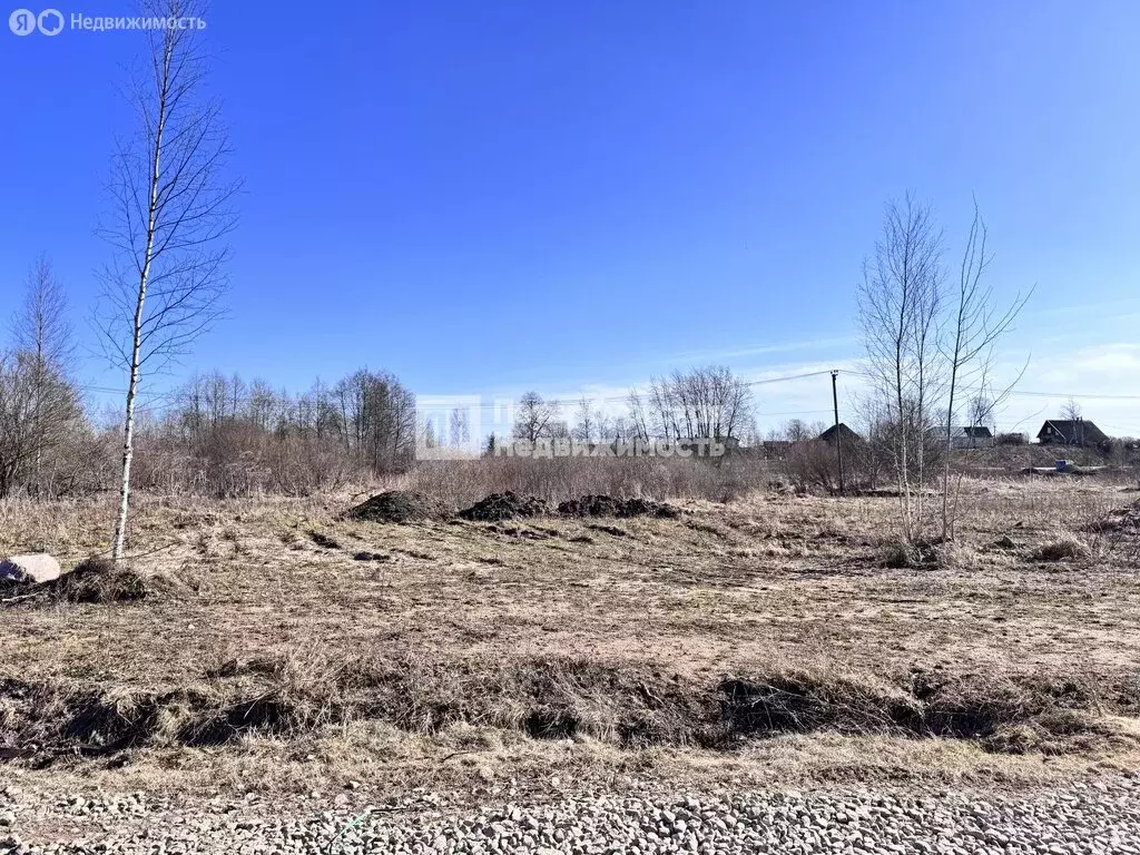 Участок в Ленинградская область, Гатчинский муниципальный округ, ... - Фото 2