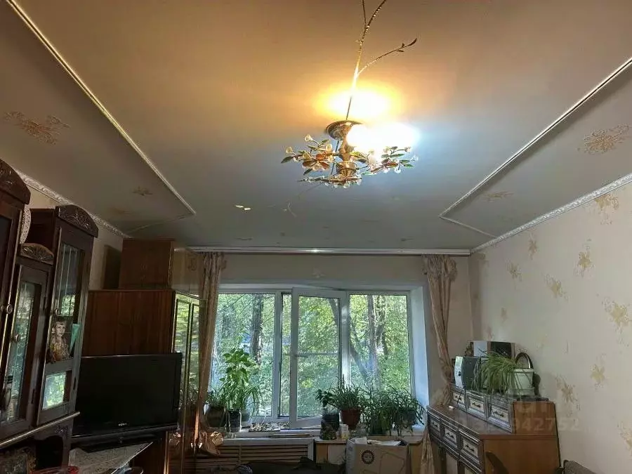 1-к кв. Воронежская область, Воронеж ул. Героев Сибиряков, 19 (33.0 м) - Фото 0