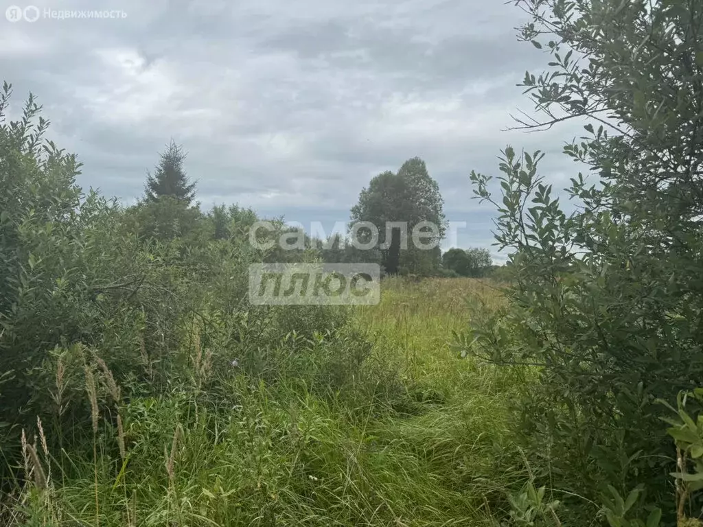 Участок в Наро-Фоминский городской округ, садовые участки Сокол (8 м) - Фото 1