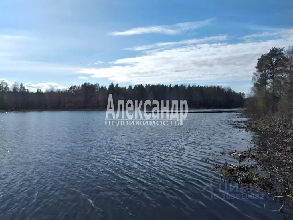 Участок в Ленинградская область, Приозерский район, Севастьяновское ... - Фото 0