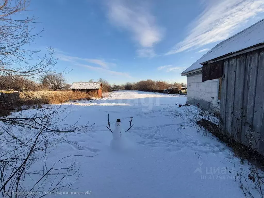 Участок в Амурская область, Ивановский муниципальный округ, с. ... - Фото 1