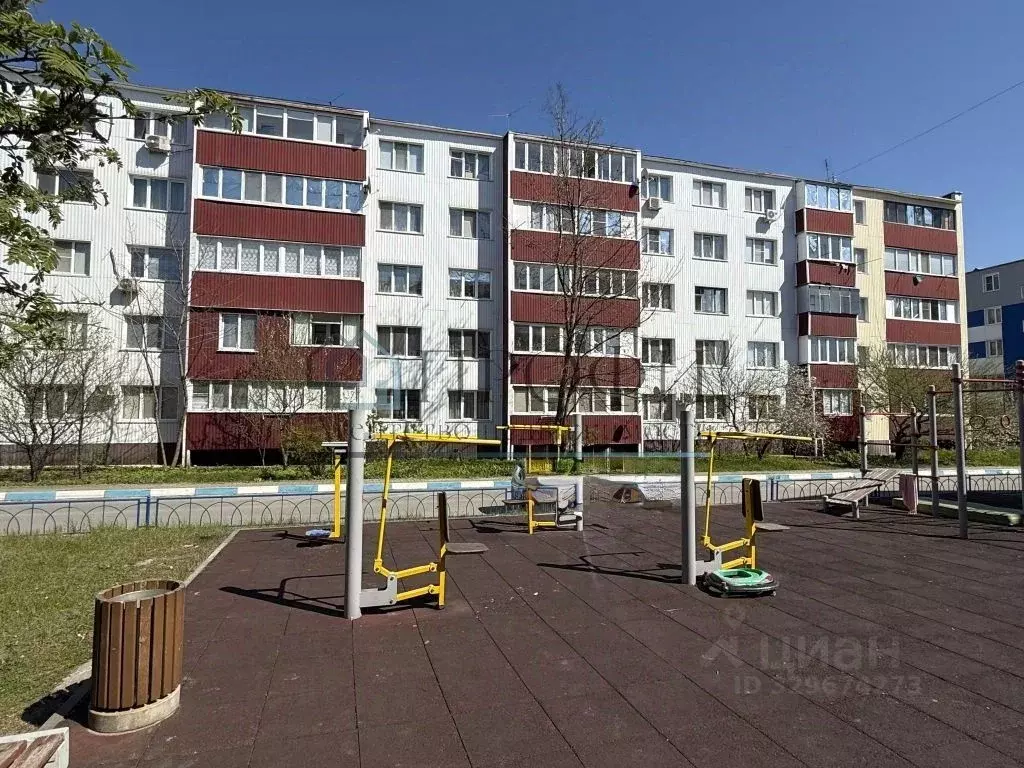 2-к кв. Белгородская область, Новый Оскол Дорожная ул., 1 (49.0 м) - Фото 1