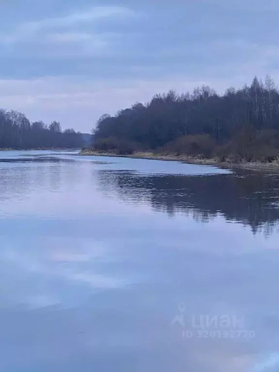 Участок в Псковская область, Пушкиногорский район, Велейская волость, ... - Фото 1