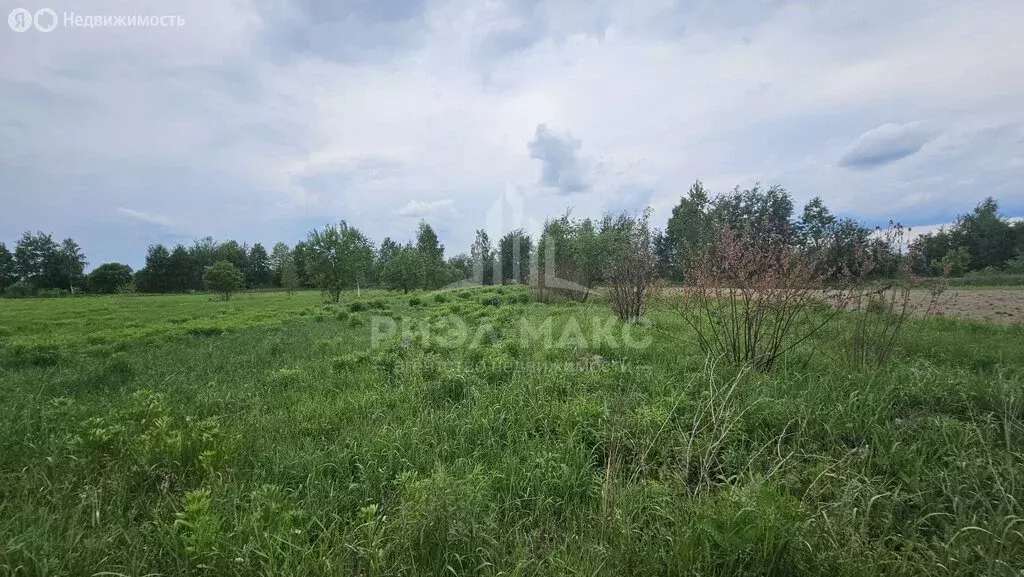 Участок в село Отрадное, улица Ленина (9 м) - Фото 0