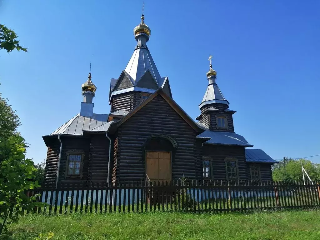 Дом в Рязанская область, Шацкий район, Лесно-Конобеевское с/пос, с. ... - Фото 1