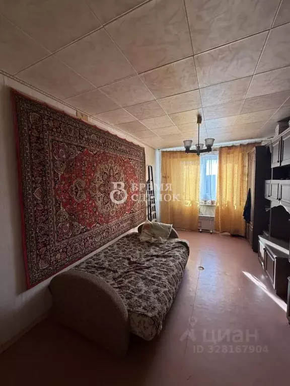 3-к кв. Владимирская область, Суздальский муниципальный округ, пос. ... - Фото 2