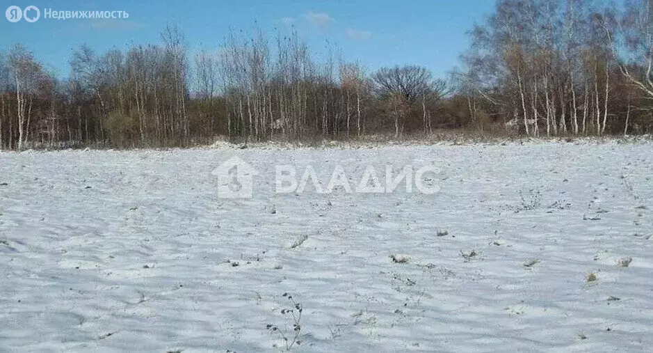 Участок в Ломоносовский район, Русско-Высоцкое сельское поселение, ... - Фото 0