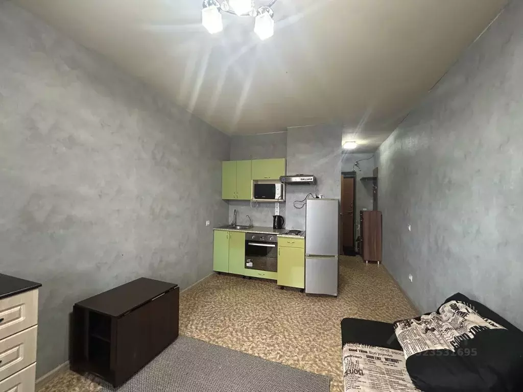 Студия Новосибирская область, Новосибирск ул. Виктора Уса, 9 (19.4 м) - Фото 2