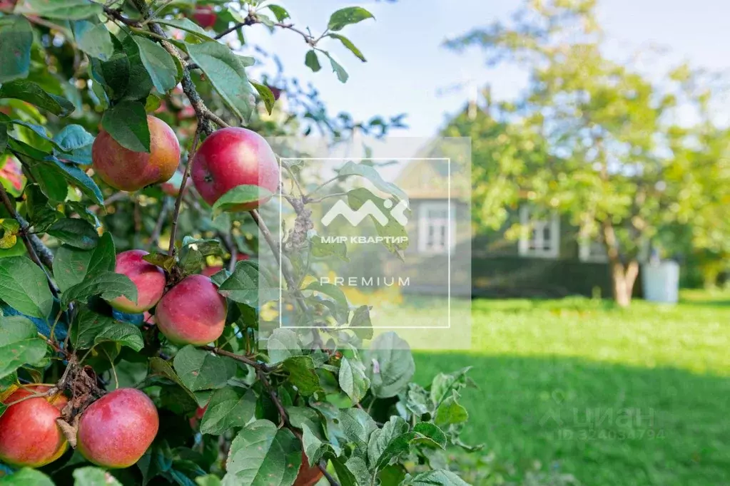 Участок в Ленинградская область, Гатчинский муниципальный округ, ПИЯФ ... - Фото 1