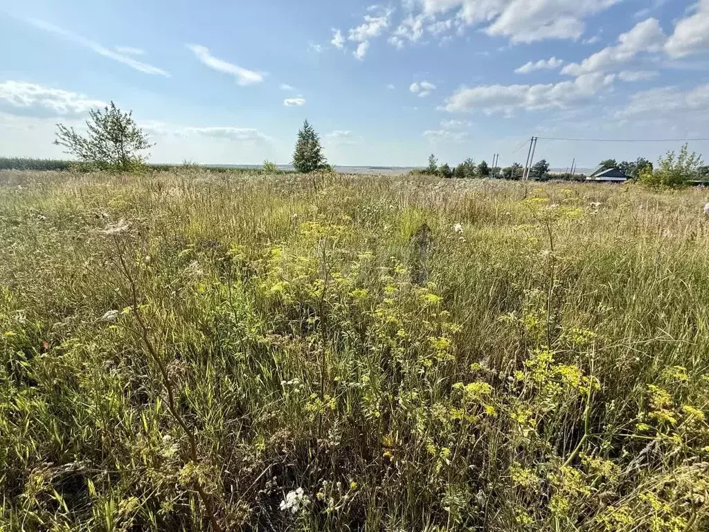 Участок в Мордовия, Лямбирский район, Саловское с/пос, с. Саловка ул. ... - Фото 2