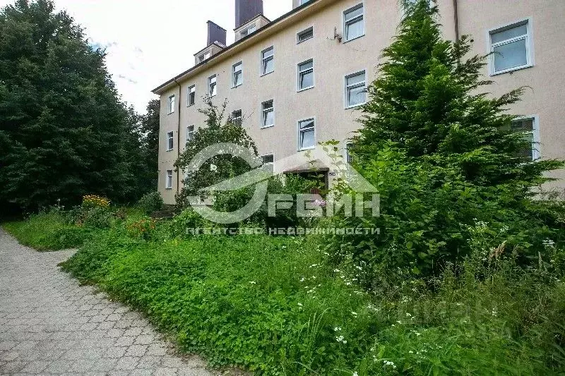 1-к кв. Калининградская область, Мамоново Артиллерийская ул., 10 (32.7 ... - Фото 2