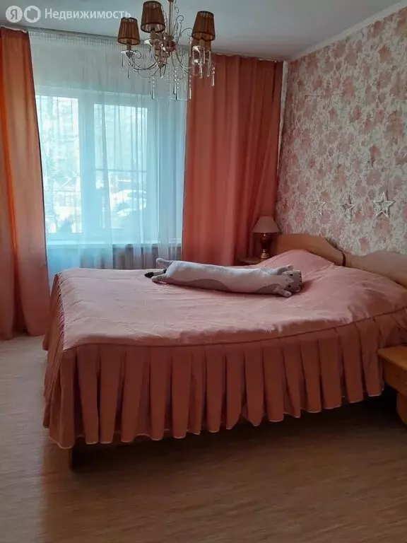 2-комнатная квартира: Пенза, проспект Строителей, 84 (50 м) - Фото 1