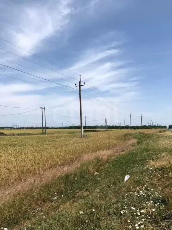 Участок в Ростовская область, Азовский район, Кулешовское с/пос, ... - Фото 0