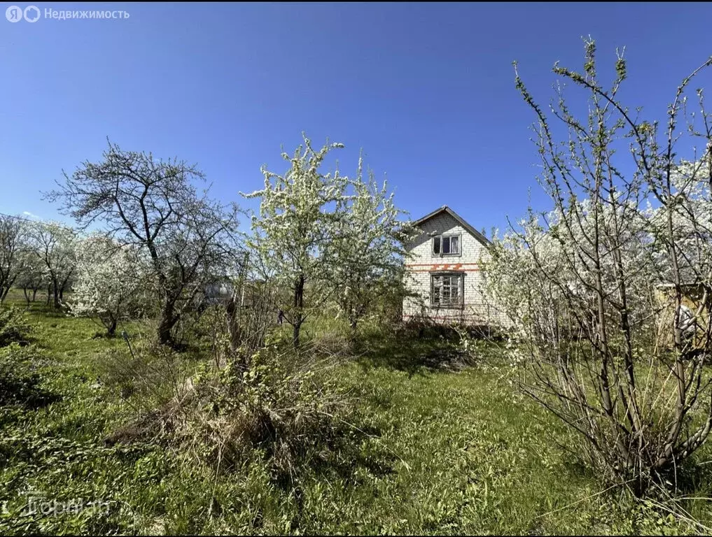 Участок в городской округ Нижний Новгород, деревня Малая Ельня (8.11 ... - Фото 2