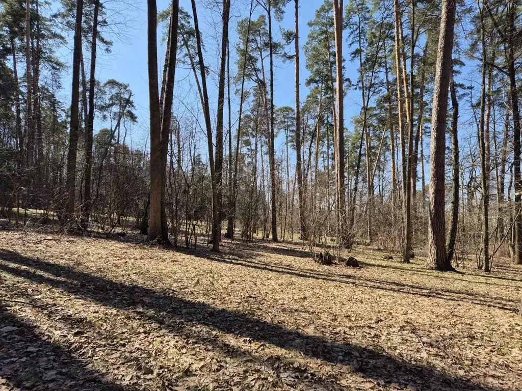 Участок в Московская область, Одинцовский городской округ, д. Жуковка  ... - Фото 1