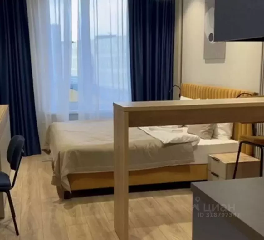 Студия Санкт-Петербург просп. Энергетиков, 8к2 (24.3 м) - Фото 1