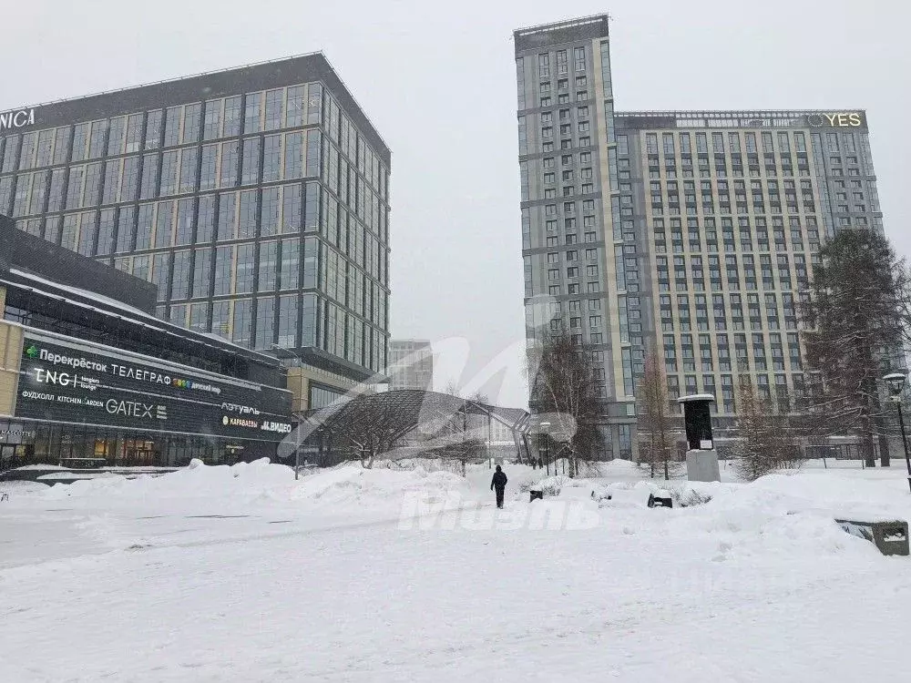 Студия Москва ул. 1-я Леонова, 18 (20.0 м) - Фото 2