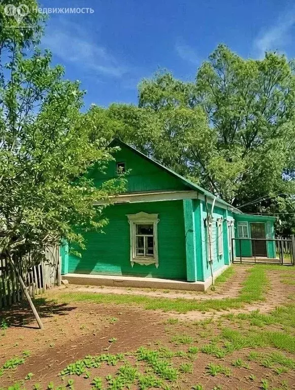 Дом в село Витуша, улица Панферовка, 11 (43.7 м) - Фото 2