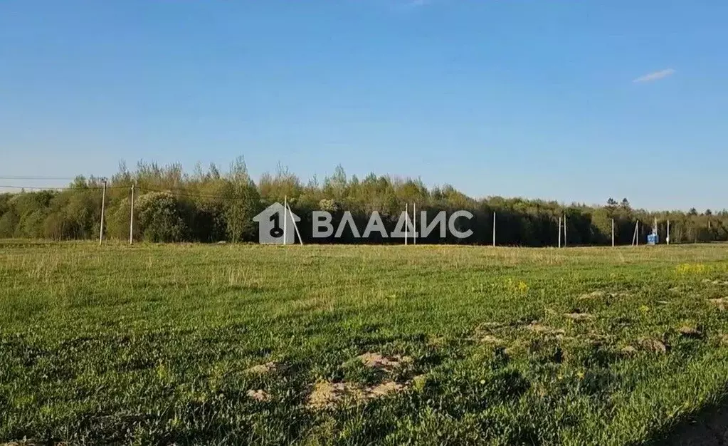 Участок в Ленинградская область, Ломоносовский район, Русско-Высоцкое ... - Фото 2