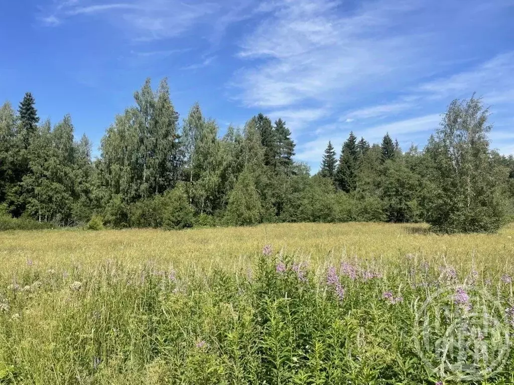 Участок в Ленинградская область, Выборгский район, Селезневское с/пос, ... - Фото 1