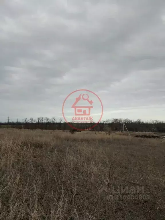 Участок в Краснодарский край, Армавир Заря Востока СНТ, 571 (5.91 ... - Фото 0