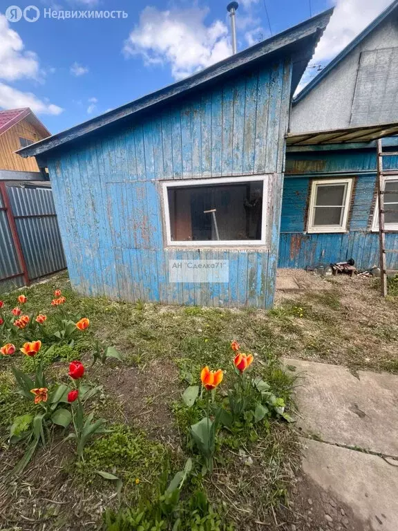 Дом в Щёкино, Красноармейская улица, 17 (33 м) - Фото 1
