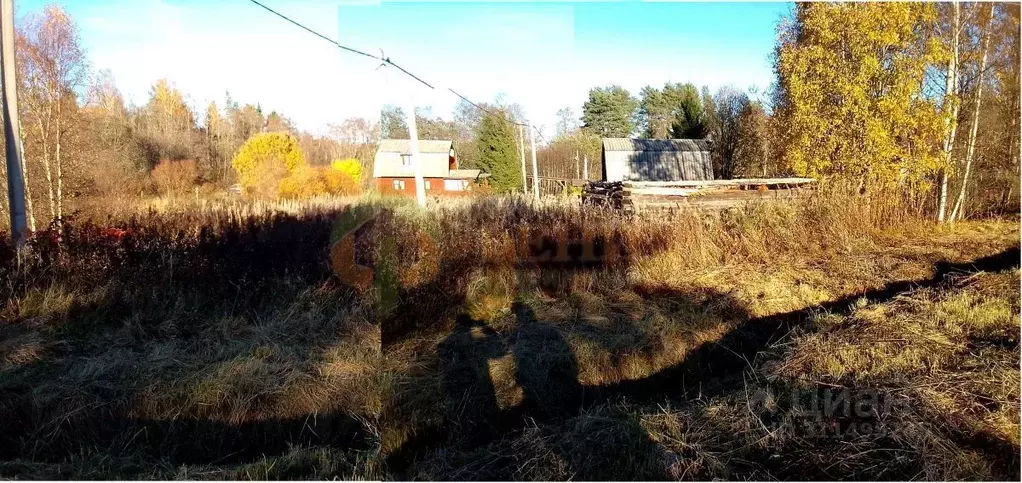 Участок в Ленинградская область, Приозерский район, Мельниковское ... - Фото 1