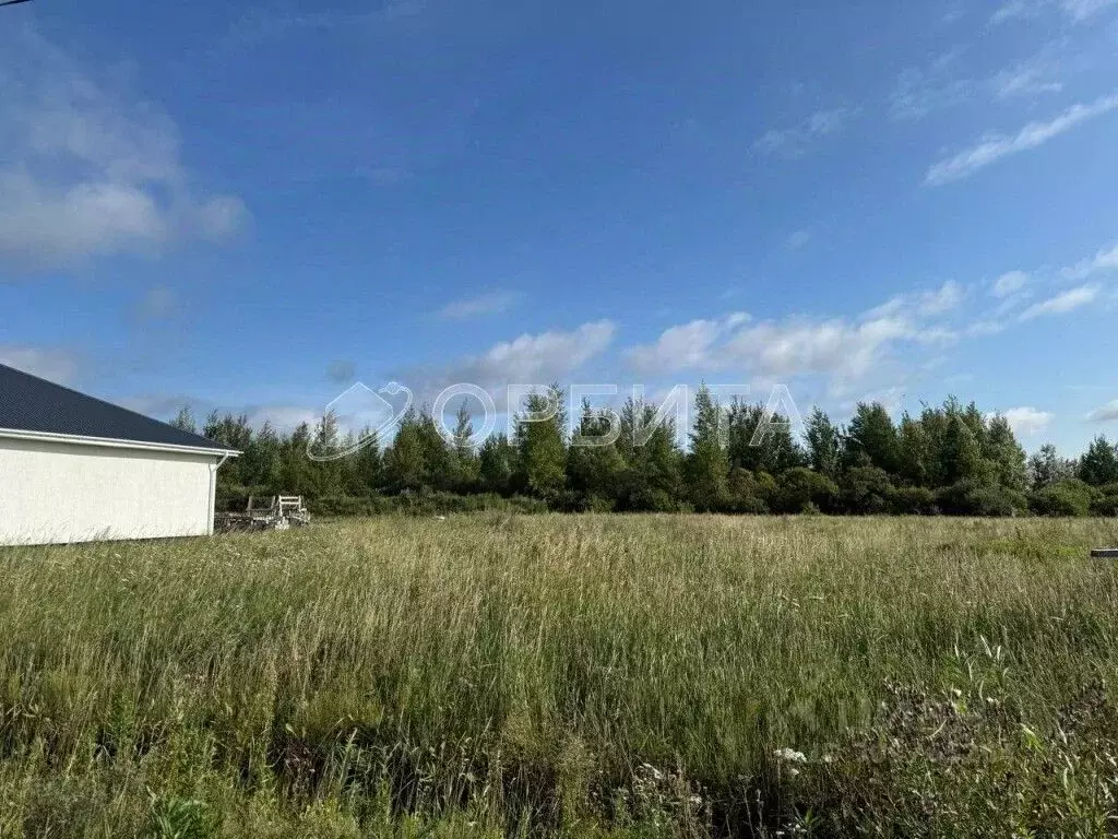 Участок в Тюменская область, Тюменский район, с. Чикча  (8.0 сот.) - Фото 2