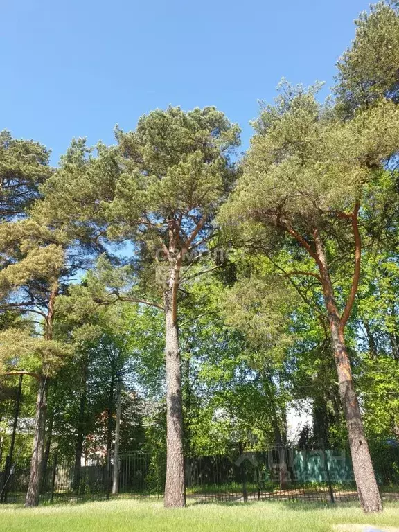 Участок в Московская область, Одинцовский городской округ, с. ... - Фото 2