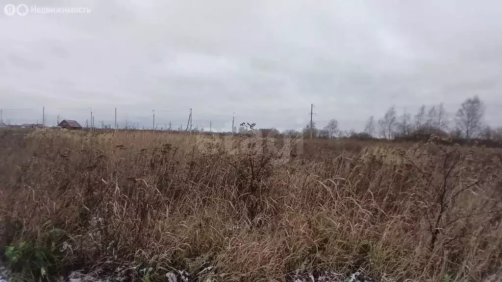 Участок в Судиславский район, Воронское сельское поселение, деревня ... - Фото 2